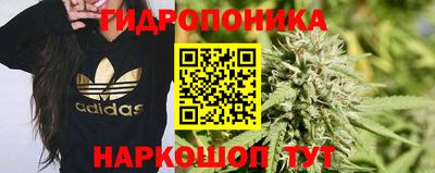 таблы Можга