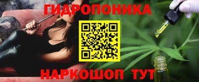 гашик Моздок