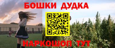 гашик Моздок