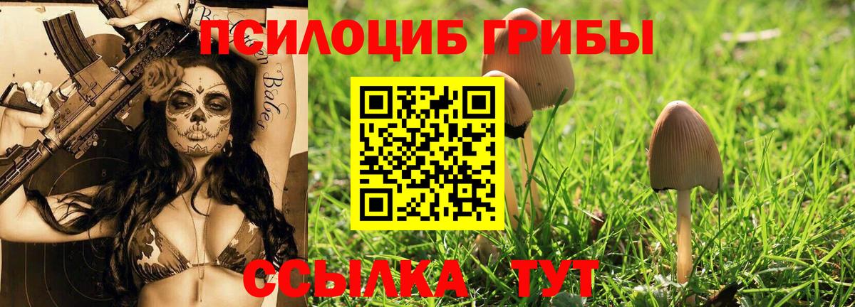 Тосно  Галлюциногенные грибы MAGIC MUSHROOMS  Псилоцибиновые грибы прущие грибы  Вход с VPN 